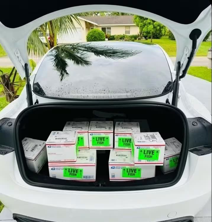 Express shipping label example 2